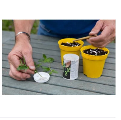 Picture of Root Hormone 10g Re-pack