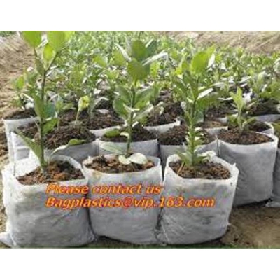 Picture of Nursery Poly Bags/Grow Bags (5"X6" @500Gm)