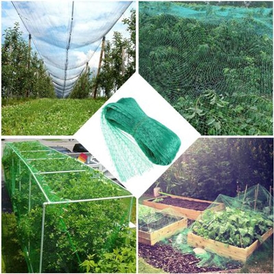 Picture of Garden Fencing Net#Fencing Net#(110 Fit By 4Fit 1 Pcs)