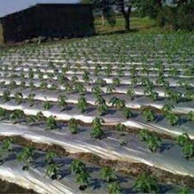 Picture of Silver-Black Malching Paper 3/200 fit