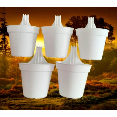Picture of 12 cm Grill PlanterTob  White 5 PCS