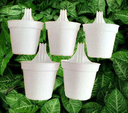 Picture of 12 cm Grill PlanterTob  White 5 PCS