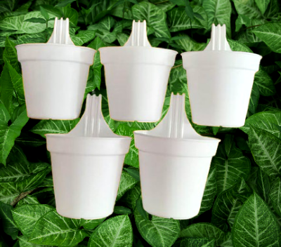 Picture of 12 cm Grill PlanterTob  White 5 PCS