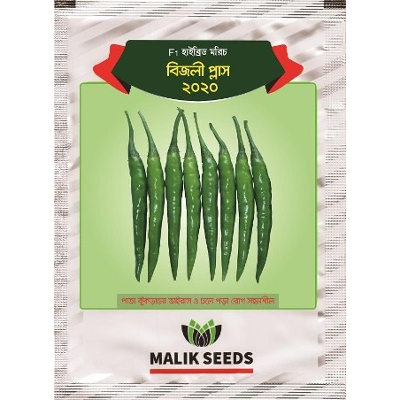 Picture of Bijli Moric (A R Malik Seeds) 20 Seeds