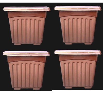 Picture of Flower Pot-5.5 Inchi Bp Flower Tob 4 Pcs