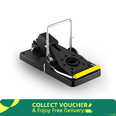 Picture of Rat Trap At Home Mouse Trap