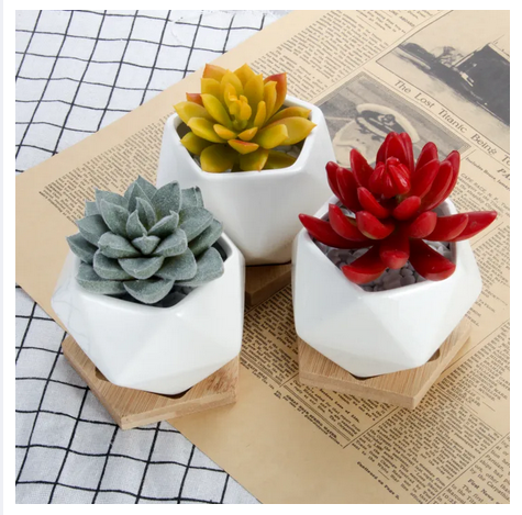 Picture of White Diamond Shape Ceramic Succulent Plant Pot One Pcs with Bamboo Tray
