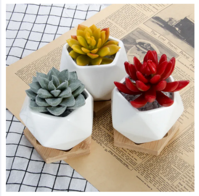 Picture of White Diamond Shape Ceramic Succulent Plant Pot One Pcs with Bamboo Tray
