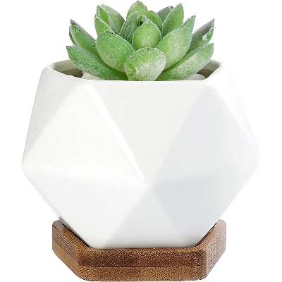 Picture of White Diamond Shape Ceramic Succulent Plant Pot One Pcs with Bamboo Tray