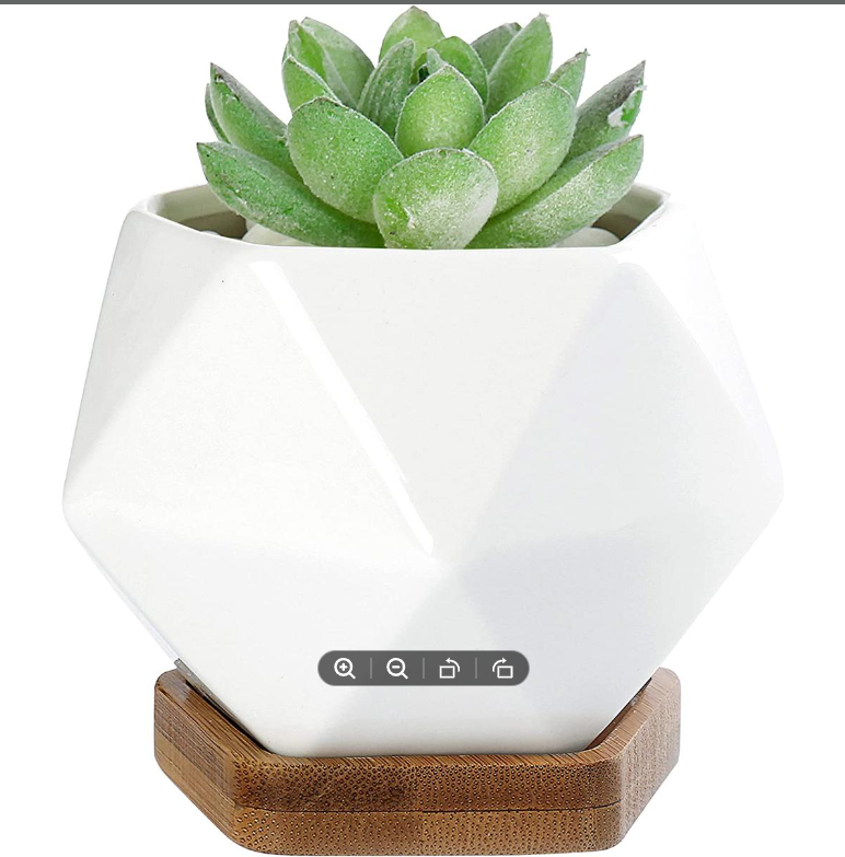 Picture of White Diamond Shape Ceramic Succulent Plant Pot One Pcs with Bamboo Tray