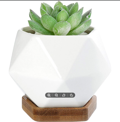 Picture of White Diamond Shape Ceramic Succulent Plant Pot One Pcs with Bamboo Tray