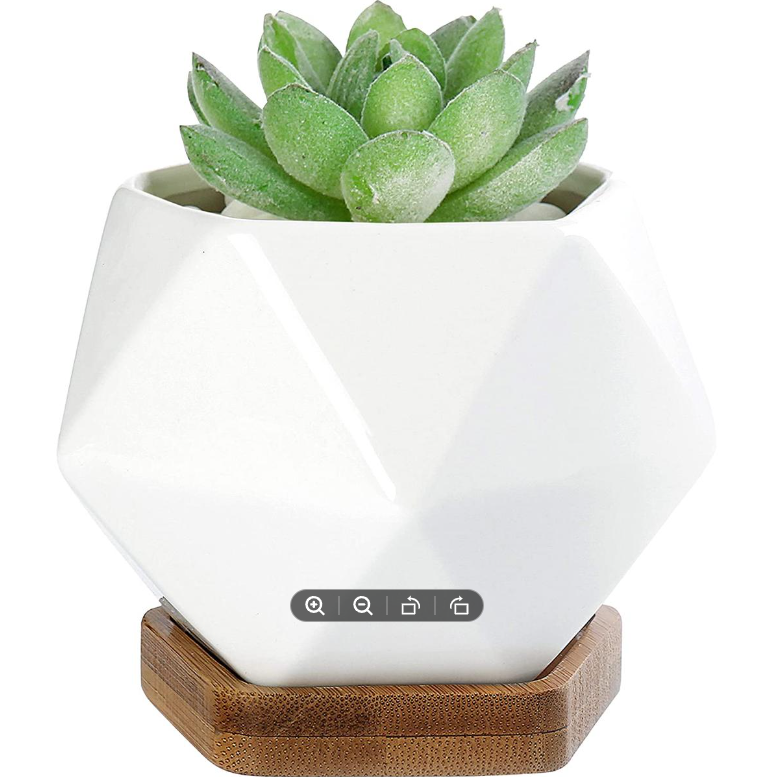 Picture of White Diamond Shape Ceramic Succulent Plant Pot One Pcs with Bamboo Tray