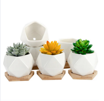 Picture of White Diamond Shape Ceramic Succulent Plant Pot One Pcs with Bamboo Tray