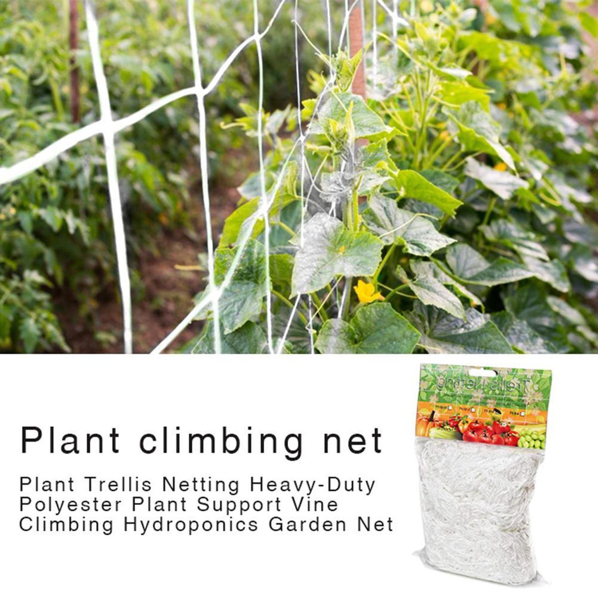 Picture of Garden Vegetable Plant Trellis Netting Plant Climbing Net Hydroponics Garden Net Support Nets Bean Plant Climbing Grow Fence Net
