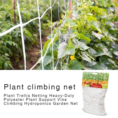 Picture of Garden Vegetable Plant Trellis Netting Plant Climbing Net Hydroponics Garden Net Support Nets Bean Plant Climbing Grow Fence Net