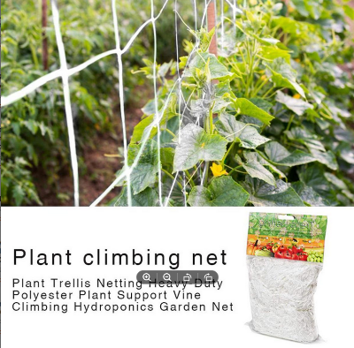 Picture of Garden Vegetable Plant Trellis Netting Plant Climbing Net Hydroponics Garden Net Support Nets Bean Plant Climbing Grow Fence Net