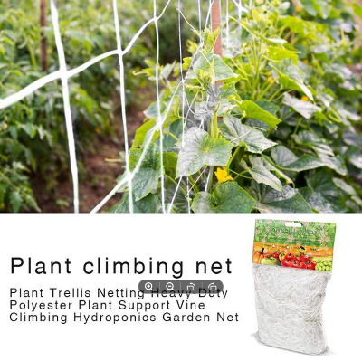 Picture of Garden Vegetable Plant Trellis Netting Plant Climbing Net Hydroponics Garden Net Support Nets Bean Plant Climbing Grow Fence Net