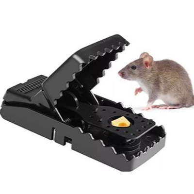 Picture of Plastic mouse trap 1 pcs made in china