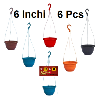 Picture of Flower Hanging Tob 6 Pcs(Size 6 Inchi)