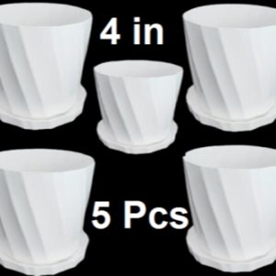 Picture of Camelia Tob white 4 Inchi  5 Pcs