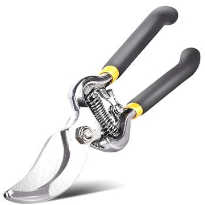 Picture of Pruning Shear Scissors 8" Stainless Steel Gardening Hand Pruner