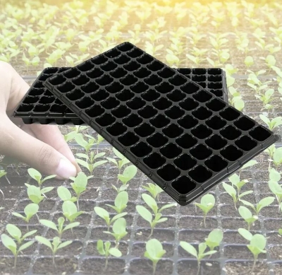 Picture of Seed Tray 105 cells-Plant Seeds Grow Nursery