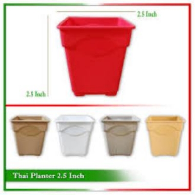 Picture of Thai Planters 2.5" (10 Pcs mix Colour)