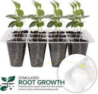 Picture of Seedling Tray 12 Cell/Hole (1.8\"X1.8\"X1.8\" Hole Size)