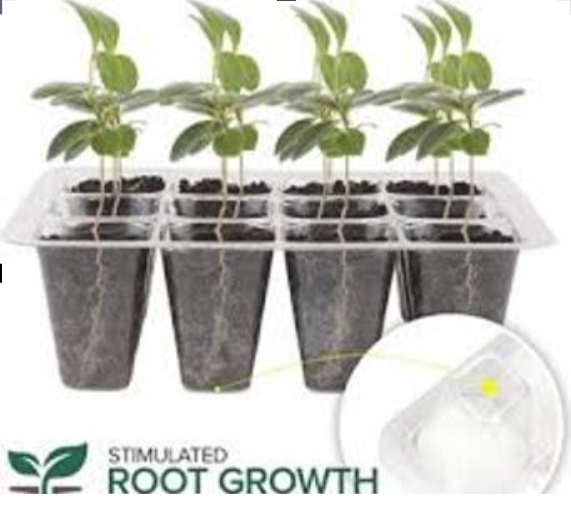 Picture of Seedling Tray 12 Cell/Hole (1.8\"X1.8\"X1.8\" Hole Size)