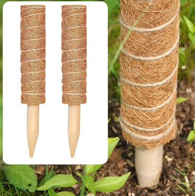 Picture of Coco Pole -indoor plant support 24 Inchi 1 pics