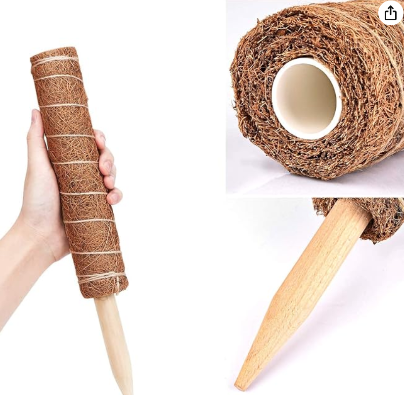 Picture of Coco Pole -indoor plant support 24 Inchi 1 pics