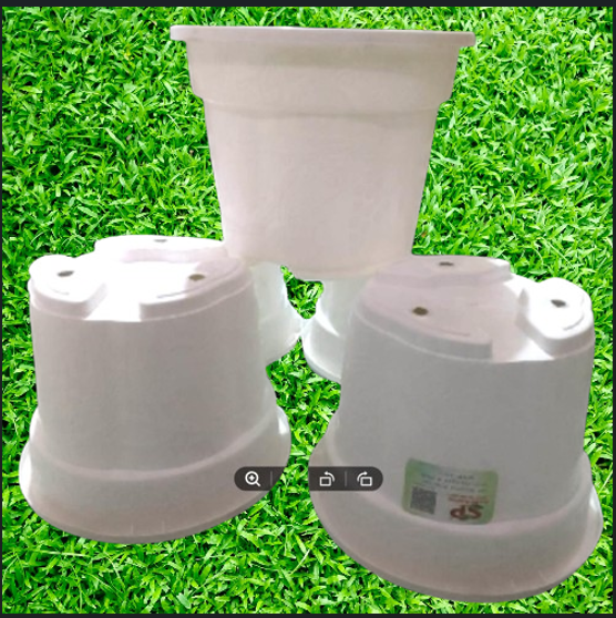 Picture of Flower pot  white coler 6 inch 10  pics  set