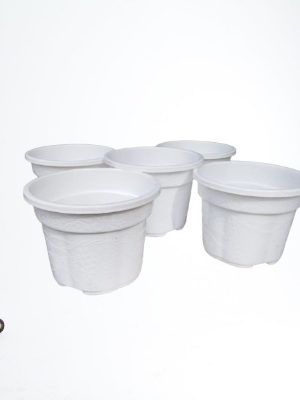 Picture of Flower pot  white coler 6 inch 10  pics  set