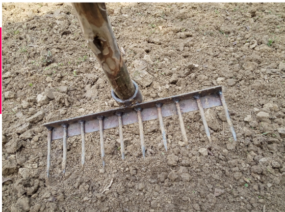 Picture of Spike Spade (Same As Picture)