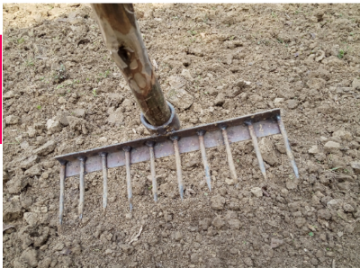 Picture of Spike Spade (Same As Picture)