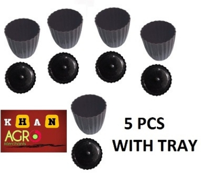 Picture of 4 inch flower tob stapelia planter 5 pics