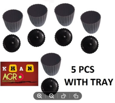 Picture of 4 inch flower tob stapelia planter 5 pics