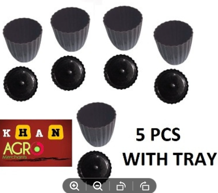 Picture of 4 inch flower tob stapelia planter 5 pics