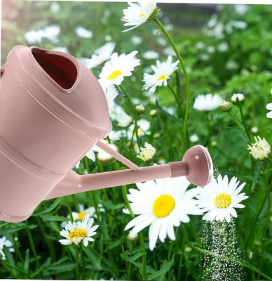 Picture of Watering Can European Style With Long Spout 1.5L