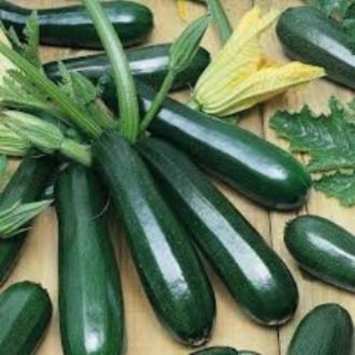Picture of Squash Seeds -Black Beauty Zucchini 10 seeds
