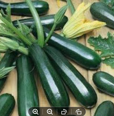 Picture of Squash Seeds -Black Beauty Zucchini 10 seeds