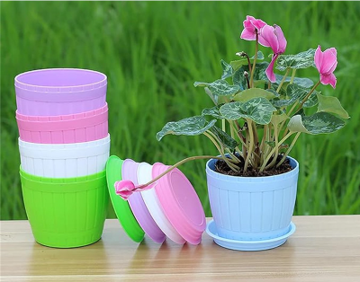 Picture of Colorful Flower Pots 3 Inchi(7.5cm) 10 pcs with nice tray