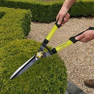 Picture of Hedge Cutter (557mm, 21-inch) 1 pcs
