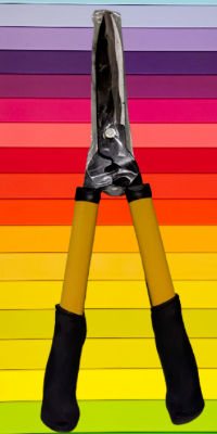 Picture of Hedge Cutter (557mm, 21-inch) 1 pcs