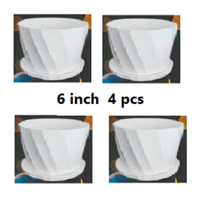 Picture of Camelia White Planter 6 Inchi 4 Pcs with Tray