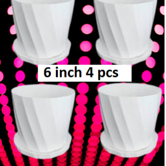 Picture of Camelia White Planter 6 Inchi 4 Pcs with Tray