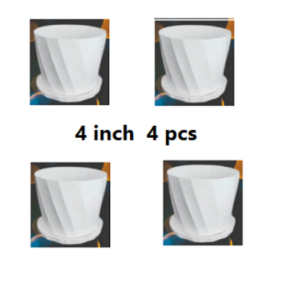 Picture of Camelia White Planter 4 Inchi 4 Pcs with Tray