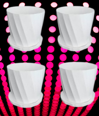 Picture of Camelia White Planter 4 Inchi 4 Pcs with Tray