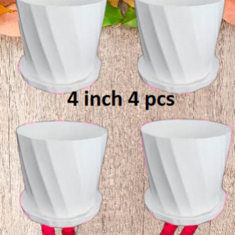 Picture of Camelia White Planter 4 Inchi 4 Pcs with Tray