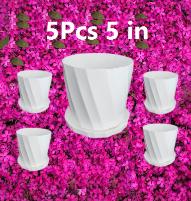 Picture of Camelia White Planter 5 Inchi 5 Pcs with Tray